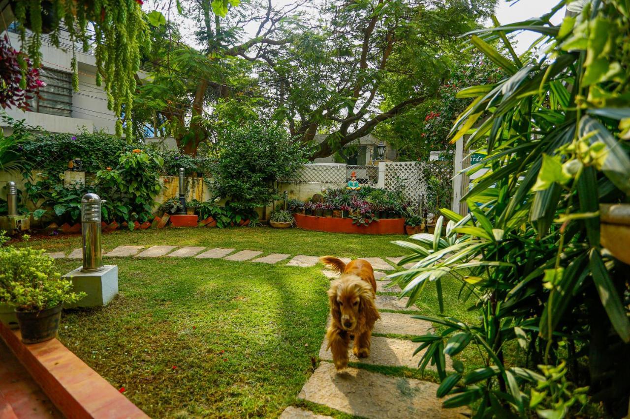 Terrace Gardens Bed & Breakfast Bangalore Ngoại thất bức ảnh